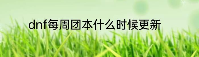 dnf每周团本什么时候更新