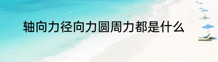 轴向力径向力圆周力都是什么