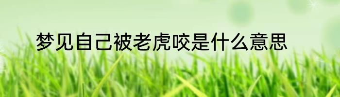梦见自己被老虎咬是什么意思