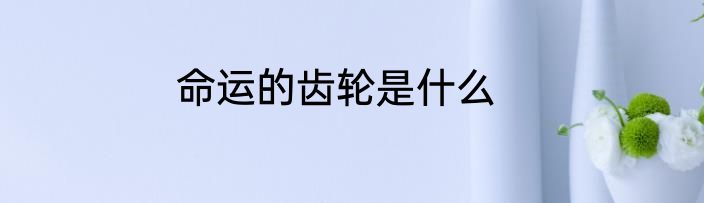 命运的齿轮是什么