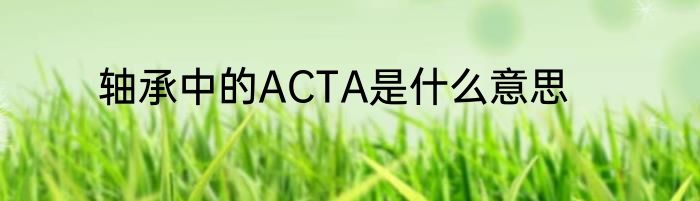 轴承中的ACTA是什么意思