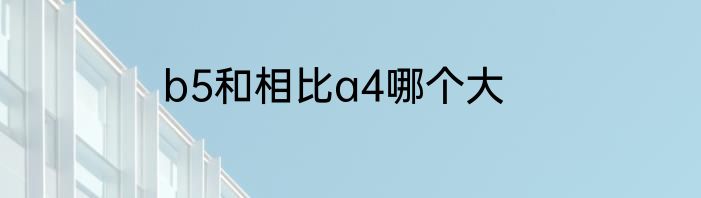 b5和相比a4哪个大