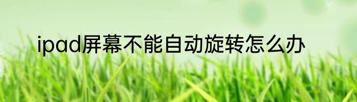 ipad屏幕不能自动旋转怎么办