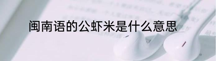 闽南语的公虾米是什么意思