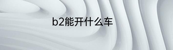 b2能开什么车