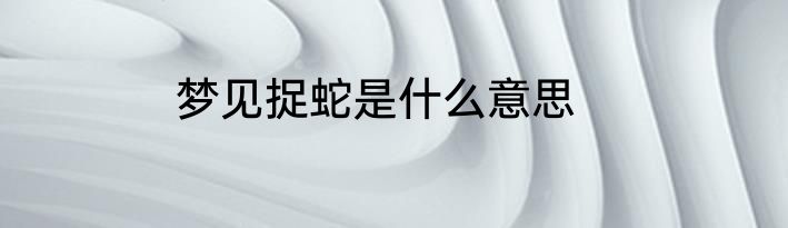 梦见捉蛇是什么意思