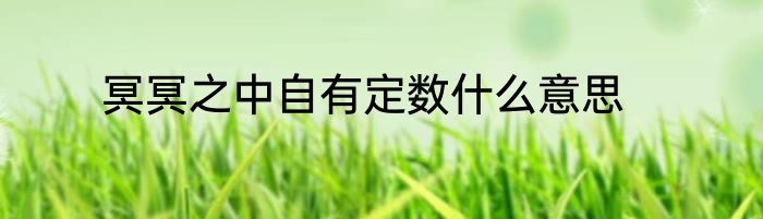 冥冥之中自有定数什么意思