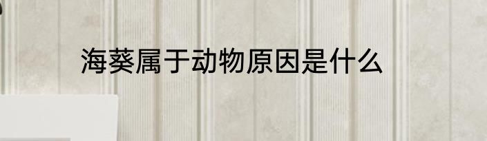 海葵属于动物原因是什么