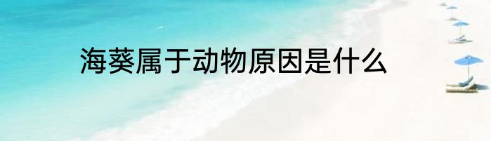 海葵属于动物原因是什么