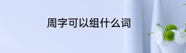 周字可以组什么词