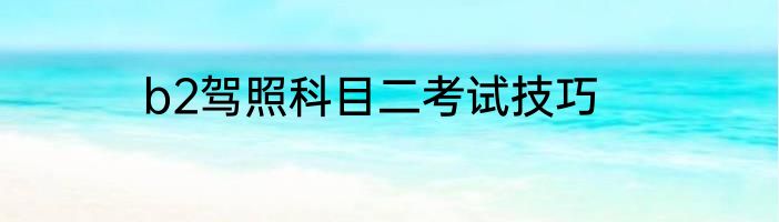 b2驾照科目二考试技巧