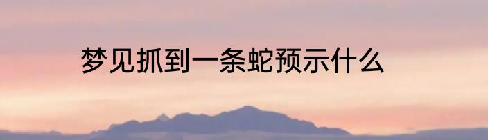 梦见抓到一条蛇预示什么