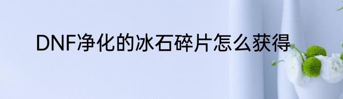 DNF净化的冰石碎片怎么获得