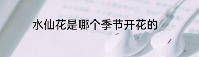 水仙花是哪个季节开花的