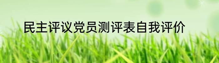民主评议党员测评表自我评价
