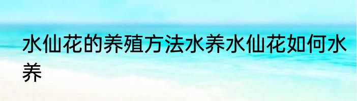 水仙花的养殖方法水养水仙花如何水养