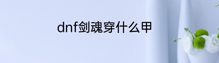 dnf剑魂穿什么甲