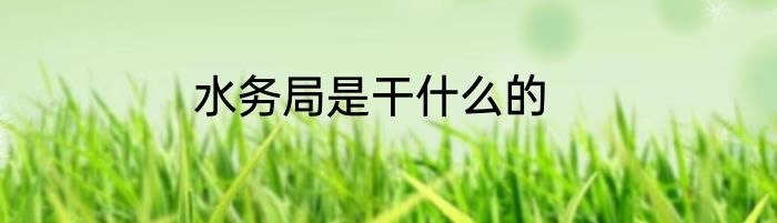 水务局是干什么的