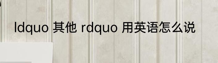 ldquo 其他 rdquo 用英语怎么说