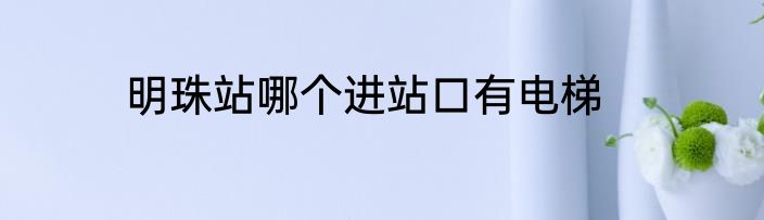 明珠站哪个进站口有电梯