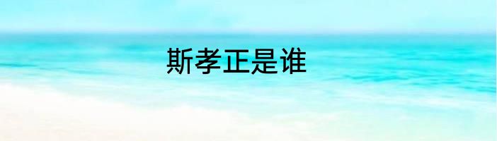 斯孝正是谁