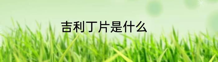 吉利丁片是什么