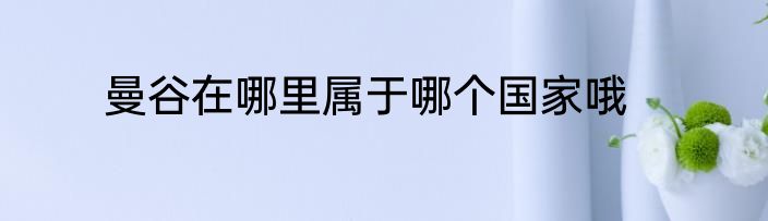 曼谷在哪里属于哪个国家哦
