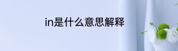 in是什么意思解释