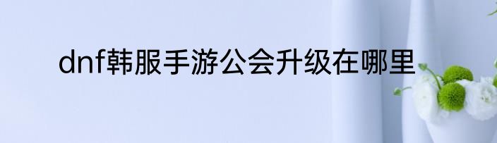 dnf韩服手游公会升级在哪里