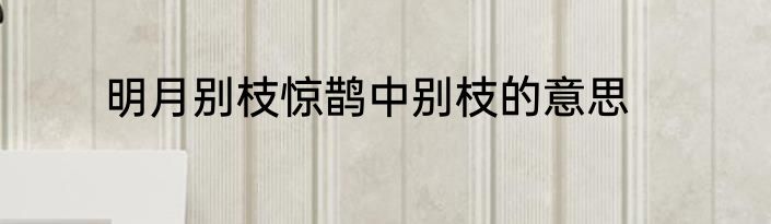 明月别枝惊鹊中别枝的意思