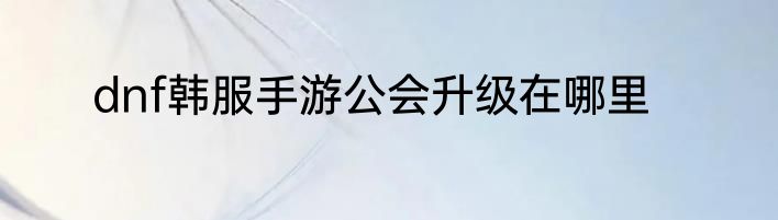 dnf韩服手游公会升级在哪里