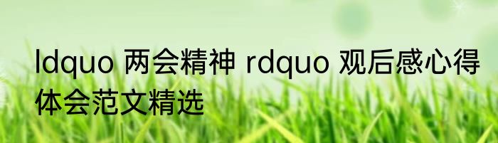 ldquo 两会精神 rdquo 观后感心得体会范文精选