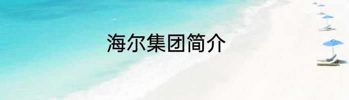 海尔集团简介