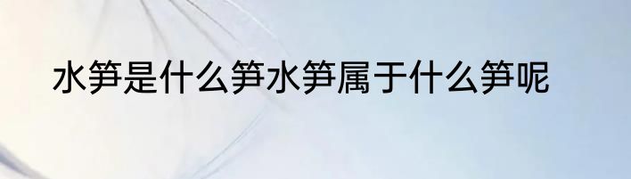 水笋是什么笋水笋属于什么笋呢