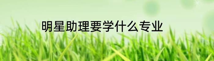 明星助理要学什么专业