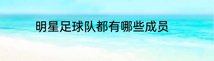 明星足球队都有哪些成员