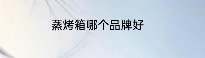 蒸烤箱哪个品牌好