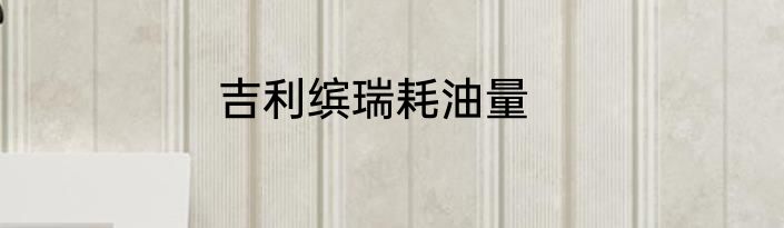 吉利缤瑞耗油量