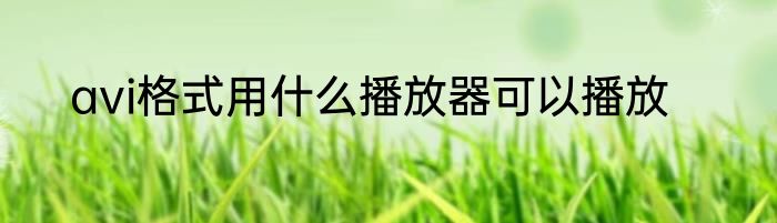 avi格式用什么播放器可以播放