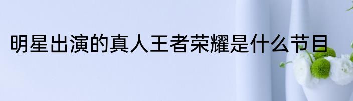 明星出演的真人王者荣耀是什么节目