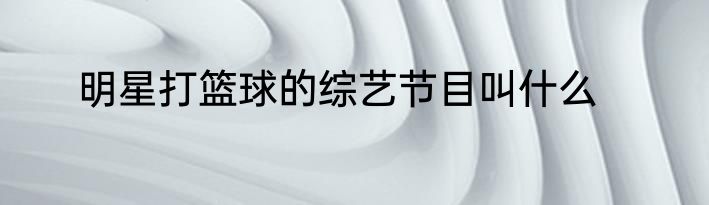 明星打篮球的综艺节目叫什么