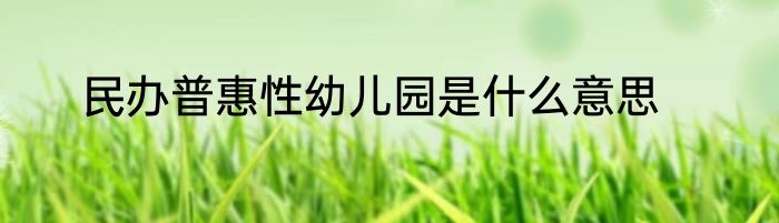 民办普惠性幼儿园是什么意思
