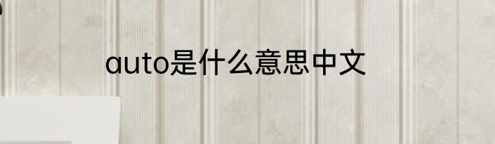 auto是什么意思中文