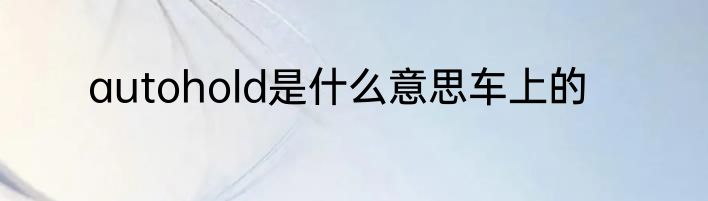autohold是什么意思车上的