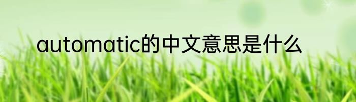 automatic的中文意思是什么