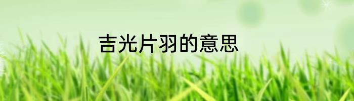 吉光片羽的意思