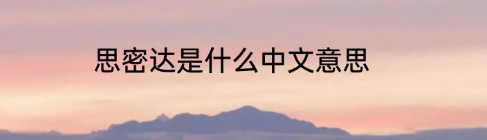 思密达是什么中文意思