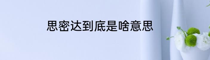 思密达到底是啥意思