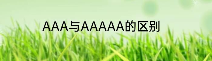 AAA与AAAAA的区别
