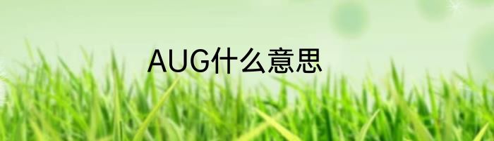 AUG什么意思